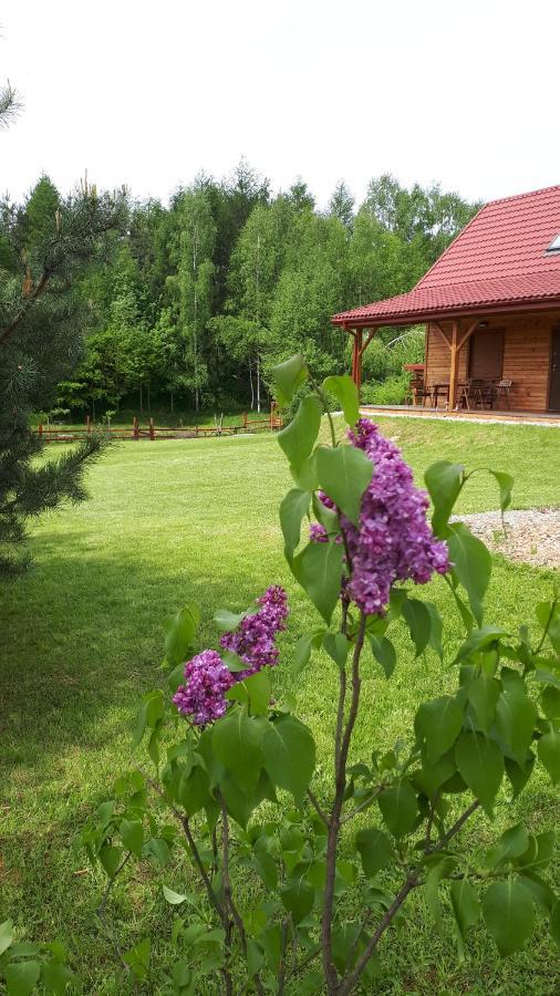 Вілла Dom Nad Dolina Sanu Ruszelczyce Екстер'єр фото