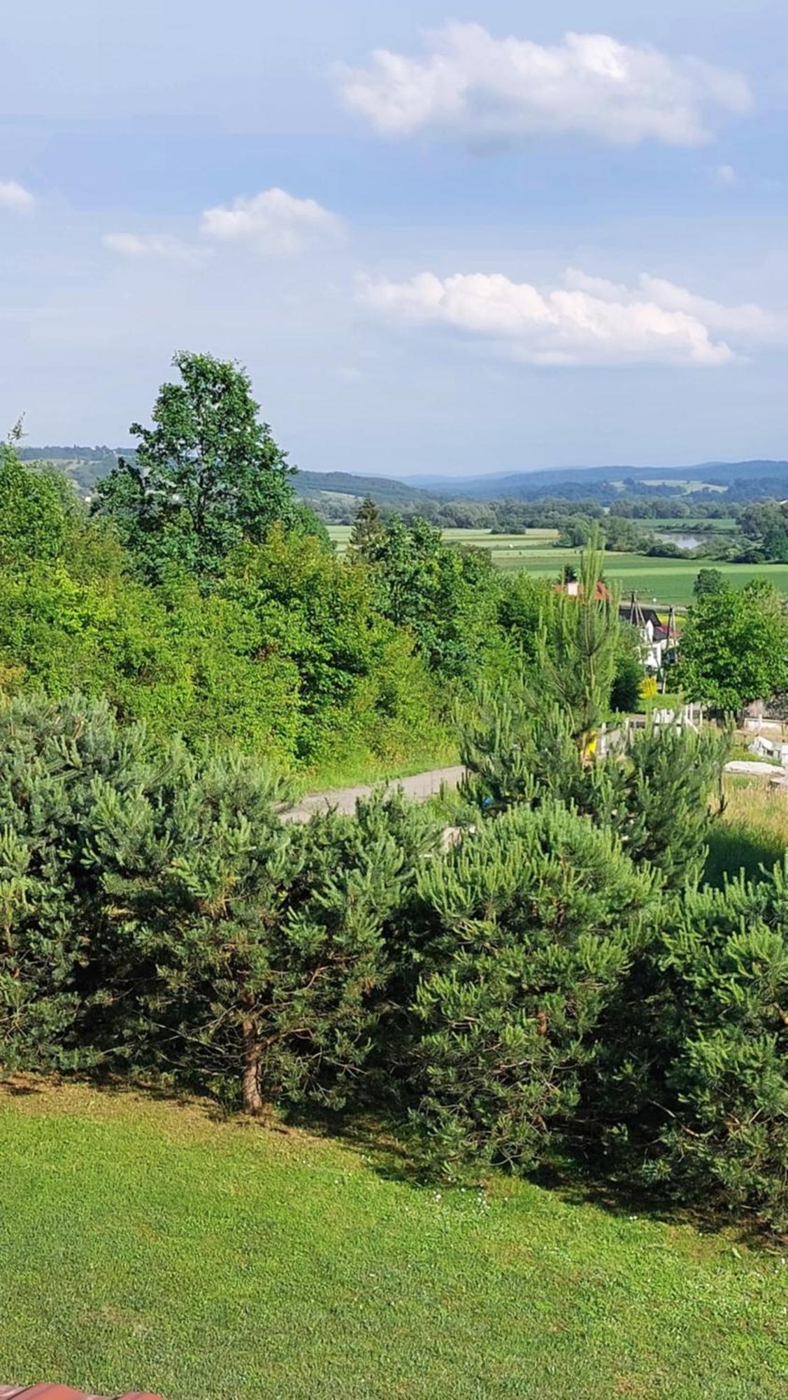 Вілла Dom Nad Dolina Sanu Ruszelczyce Екстер'єр фото