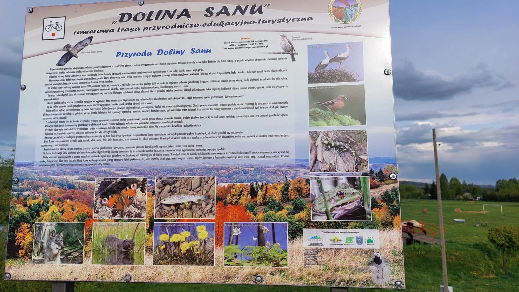 Вілла Dom Nad Dolina Sanu Ruszelczyce Екстер'єр фото